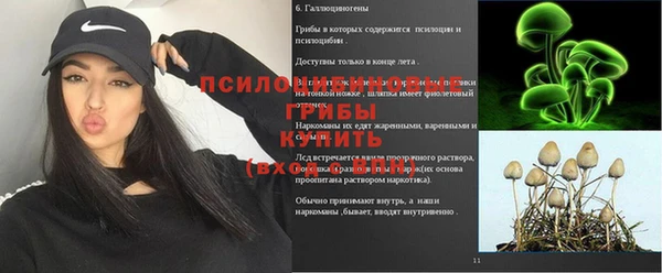 крисы Абаза