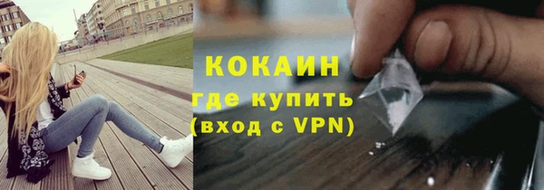крисы Абаза