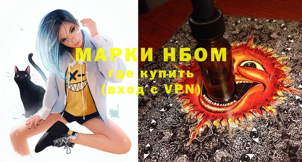крисы Абаза
