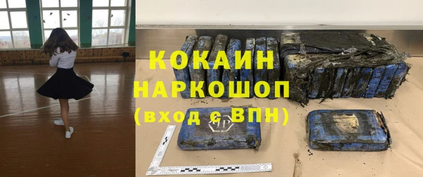 крисы Абаза