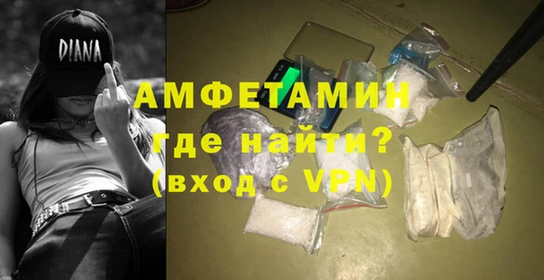 крисы Абаза